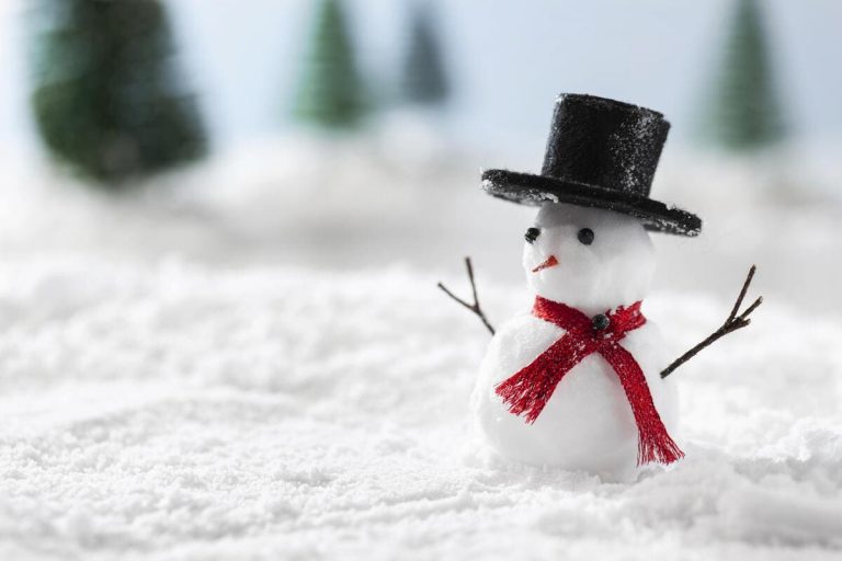 Lire la suite à propos de l’article Vacances d&rsquo;hiver