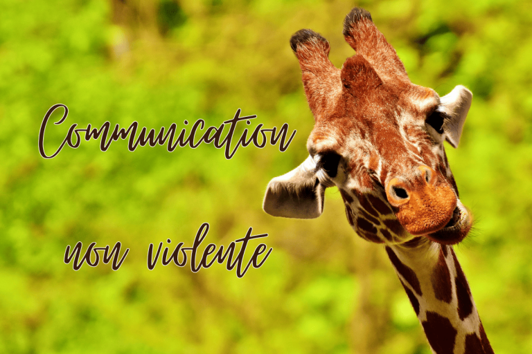 Lire la suite à propos de l’article Communication Non Violente