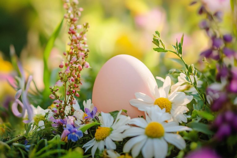 Lire la suite à propos de l’article Vacances de printemps