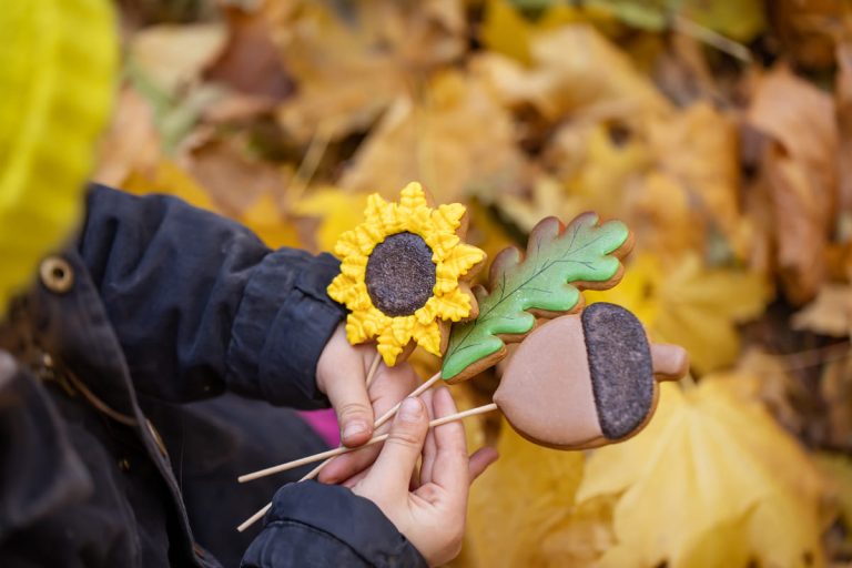 Lire la suite à propos de l’article Vacances d&rsquo;automne